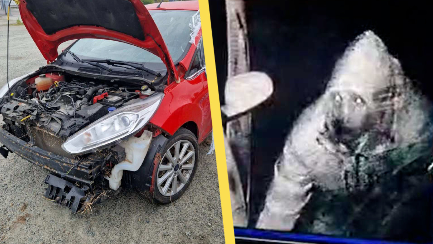 Foto: Polisens förundersökning