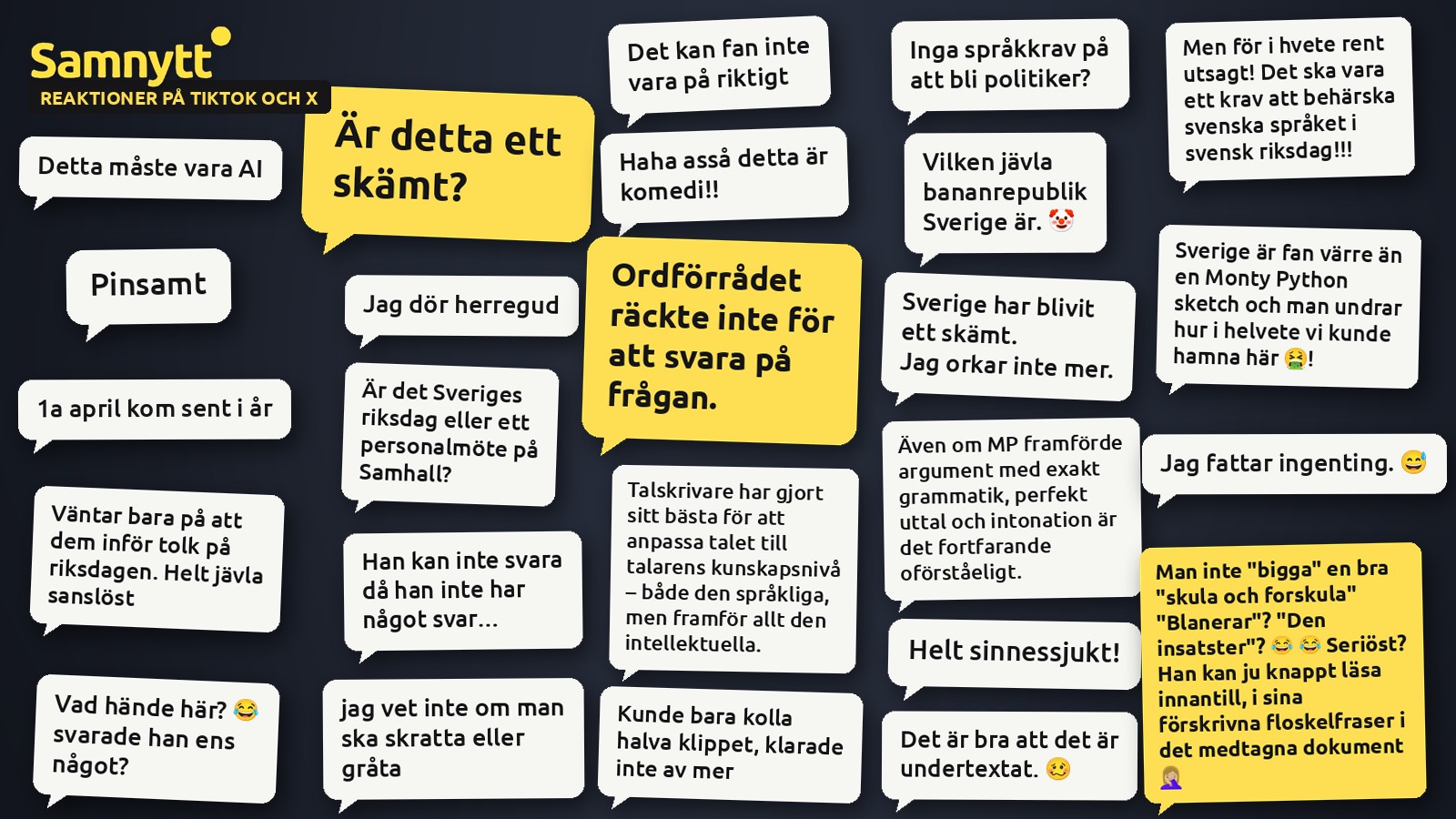 Kollage med kommentarer från TikTok och X om ett riksdagsanförande, bland annat ”Är detta ett skämt?” och ”Ordförrådet räckte inte för att svara på frågan.”