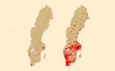 Artikelbild för artikeln: Chocksiffror: 4200% ökning av moskéer i Sverige - på mindre än 25 år