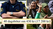 Artikelbild för artikeln: Polisen läxade upp SD-politiker som delade satirbild om islam: "Förstår du att det känns nedsättande?"