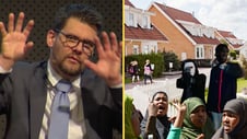 Artikelbild för artikeln: Regeringens nya myndighetschef: Tvångsblanda befolkningen