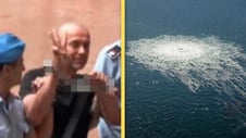 Artikelbild för artikeln: Här är ukrainaren som gripits för Nord stream-attentatet