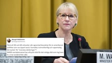 Artikelbild för artikeln: Margot Wallström om Charlie Kirk: "Öppet rasist, homofob, kvinnofientlig och vapentokig"