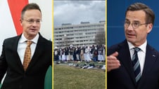 Artikelbild för artikeln: Ungerns utrikesminister om Sverige: Svaga ledare har släppt in migranter som de aldrig får ut