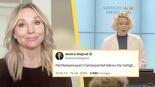 Artikelbild för artikeln: Ilska mot SD-toppen efter ordvitsen: "Vilken låg nivå"
