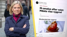 Artikelbild för artikeln: Socialdemokraternas trollfabrik har fått över 120 miljoner i bidrag