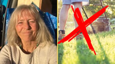Artikelbild för artikeln: Förslaget: Förbjud gräsklippning på söndagar