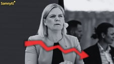 Artikelbild för artikeln: Magdalena Andersson rasar i förtroende – petas från toppen