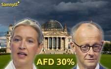 Artikelbild för artikeln: 8 av 10 tyskar är missnöjda med Merz – AfD seglar upp i mätningarna