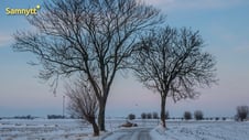 Artikelbild för artikeln: SMHI varnar för snö i flera län