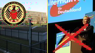 Artikelbild för artikeln AFD stämmer tyska underrättelsetjänsten