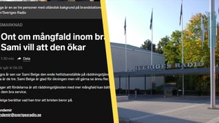 Artikelbild för artikeln Kritikstorm mot SR efter ny mångfaldspropaganda