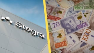 Artikelbild för artikeln Skattemiljonerna fortsätter att flöda till Stegra