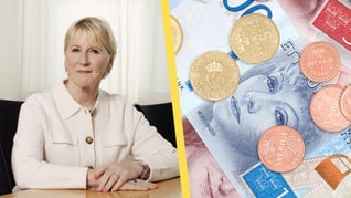 Artikelbild för artikeln Pengaflödet till Olof Palmes internationella center halveras