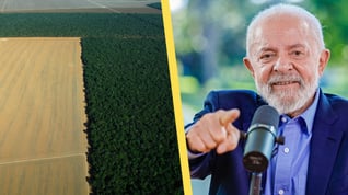 Artikelbild för artikeln Delar av Amazonas ska säljas av - farhågor om ökad avskogning