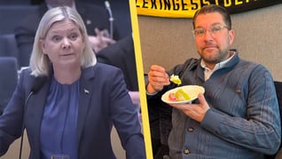Artikelbild för artikeln Åkesson partiledaren med näst störst förtroende