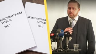 Artikelbild för artikeln: SVT:s språkbruk: Högerextrem nämns 79 gånger oftare än vänsterextrem