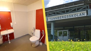 Artikelbild för artikeln Arab våldtog 16-årig flicka på skoltoalett – slipper fängelse