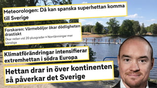 Artikelbild för artikeln: SVT:s forskare: Ökad dödlighet vid 20 plusgrader
