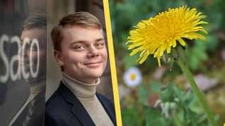 Artikelbild för artikeln Undersökning: Sommarjobb kan vara nyckeln till karriären