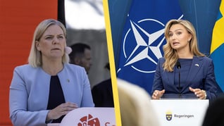 Artikelbild för artikeln Socialdemokraterna kräver Ebba Buschs avgång
