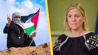 Artikelbild för artikeln: S Gaza-utspel får kritik: "Kanske byta namn till Hamaspartiet?"