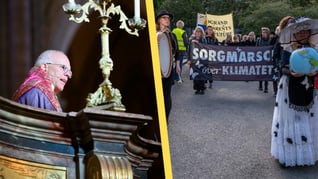 Artikelbild för artikeln: GW Persson kommer ut som klimataktivist