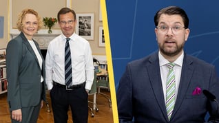 Artikelbild för artikeln C-ledaren: Vi är en del av rödgröna blocket