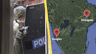Artikelbild för artikeln Åtal: Mamma och tvåårig dotter kidnappades i Strängnäs