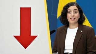 Artikelbild för artikeln Nytt bottenrekord för Liberalerna