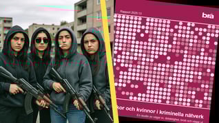 Artikelbild för artikeln Jämställdheten ökar – inom gängkriminaliteten