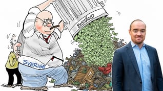 Artikelbild för artikeln: Ekeroth: "Så mycket rikare hade Sverige varit utan biståndet"