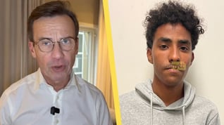 Artikelbild för artikeln: FLER undantag för kriminella invandrare föreslås i utredning