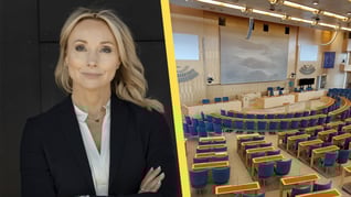 Artikelbild för artikeln Stegrud petas från SD:s partistyrelse