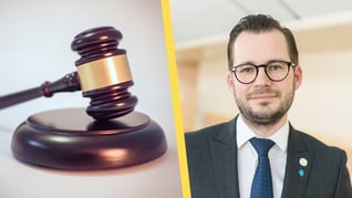 Artikelbild för artikeln SD: Avskaffa lagen om hets mot folkgrupp