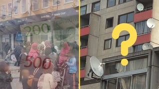 Artikelbild för artikeln Miljonsatsning skulle få utrikesfödda kvinnor kvinnor i jobb - så gick det