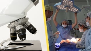 Artikelbild för artikeln Provsvar feltolkades - livmoder bortopererades i onödan