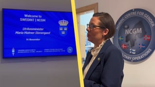 Artikelbild för artikeln Sveriges satsning: Utbildar tiotusentals Nato-militärer i genuspedagogik