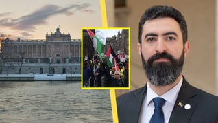 Artikelbild för artikeln: SVT-skandalerna fortsätter radas upp