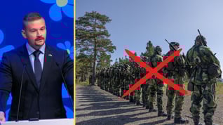 Artikelbild för artikeln: SD-politikern med militärbakgrund nekas Hemvärnet