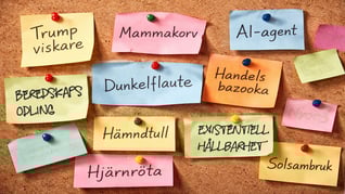 Artikelbild för artikeln Nyorden 2025 – världspolitik, vindkraftskris och modehumor