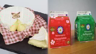 Artikelbild för artikeln Forskare: Det här kan skydda mot demens