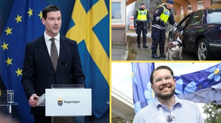 Artikelbild för artikeln Antalet asylsökande det lägsta på flera decennier