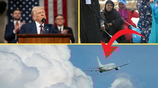 Artikelbild för artikeln Trump utvisar tusentals somalier