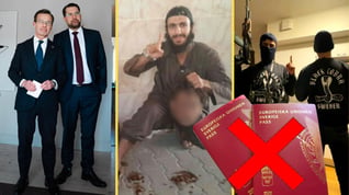 Artikelbild för artikeln Medborgarskap ska kunna dras in vid grova brott