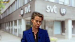 Artikelbild för artikeln: SVT stoppar program med Nick Alinia: "Rasistisk ideologi"