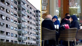 Artikelbild för artikeln: Politiker vill inte bo i invandrarområden - som de själva skapat