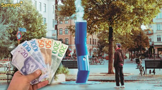 Artikelbild för artikeln Kommun satsade hundratusentals kronor på en jättefimp – nu ligger experimentet i ett förråd