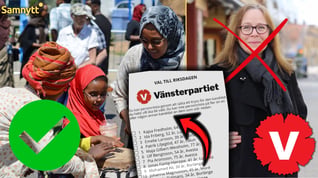 Artikelbild för artikeln: Somalisk doldis knuffar ut V-toppen ur riksdagen