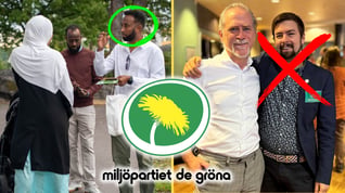Artikelbild för artikeln: Somalier petar MP-toppen från riksdagen